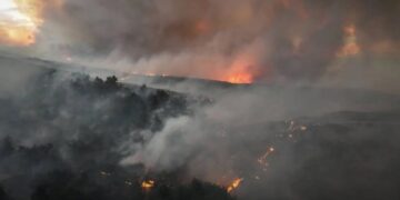 KJKê banga têkoşîna ekolojîk kir