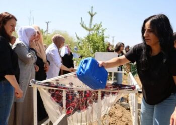 Nûneren saziyan Ekîn Wan bi bîr anîn