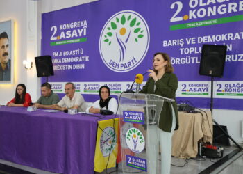 Dogan: Ji bo serkeftina pêvajoyê rêxistibûyîn pêwîst e