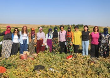 Bi karkerên jin re firengî çinî