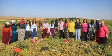 Bi karkerên jin re firengî çinî