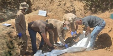 Li başûrê Kurdistanê gorek komî hate dîtin