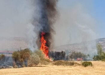 Şewata li Licê derketî hate vemirandin