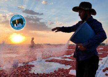 Di bin germahiya dijwar de bi nanoziko dixebitin