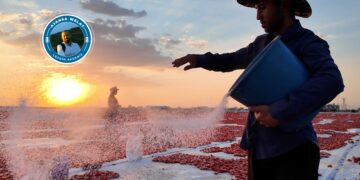 Di bin germahiya dijwar de bi nanoziko dixebitin