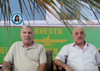 Li dijî mohrkirina Avestayê banga piştevaniyê hate kirin