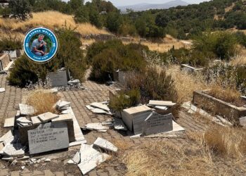 ‘Ma wazenê mezelanê Goristanê Sîsê newe ra virazime’