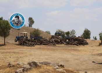 Platforma Ekolojiyê: Bi destê walîtiyê û cerdevanan xweza tê talankirin