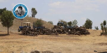 Platforma Ekolojiyê: Bi destê walîtiyê û cerdevanan xweza tê talankirin