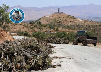 Ajansa me xwe gihand cihê talankirina daristanên li Omyanisê