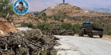 Ajansa me xwe gihand cihê talankirina daristanên li Omyanisê