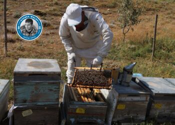 Mêşvanê 27 salan: Ji ber hingivê sexte em nikarin kar bikin