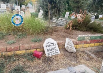 Keyeyî nêtawrenê mezelanê qicanê xo virazê