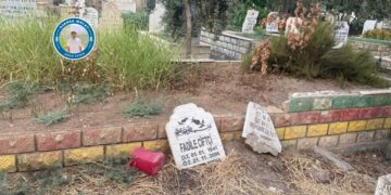 Keyeyî nêtawrenê mezelanê qicanê xo virazê