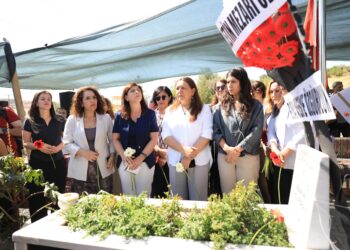 Nûneran Narîn Guran li ser gora wê bi bîr anî