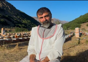 ‘Ez dewe xora karê mesû ra hes kon’