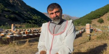 ‘Ez dewe xora karê mesû ra hes kon’