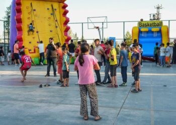 Dewa Asikan de şayîya sporî ya domanan ame viraştene