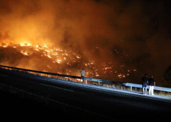 Şewata daristana li Licêyê vemirandin