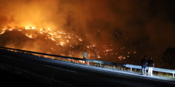 Şewata daristana li Licêyê vemirandin