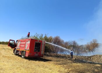 Li gundê Angolê yê Licê şewat derket