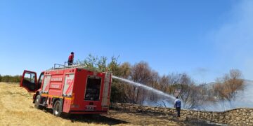 Li gundê Angolê yê Licê şewat derket