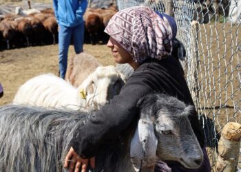 Dewamkerdoxê mîrasê seserran ê Korxanî: Bêrîvanî