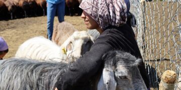 Dewamkerdoxê mîrasê seserran ê Korxanî: Bêrîvanî