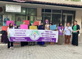 ‘Jinên tên qetilkirin sedema raperîna me ne’