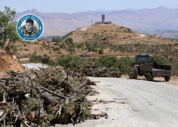 Ajansê ma xo resna cayê talankerdena daristanê Omyanisî