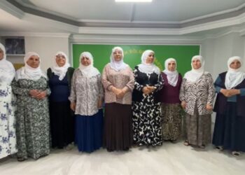 Îzmîr de Dayîkê Aştîye qedexeyê kurdkî şermezar kerd