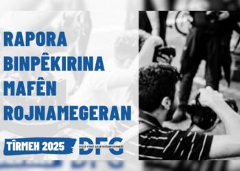 DFG: Bila rojnameger bi Abdullah Ocalan re hevdîtinê pêk bînin