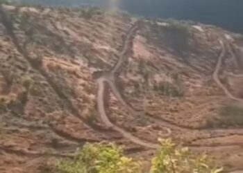 Cerdevan daristanên Elkê difroşin hev û talan dikin!