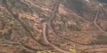 Cerdevan daristanên Elkê difroşin hev û talan dikin!