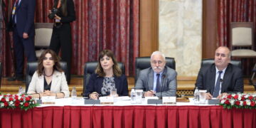 Koçyîgît: Me dît ku siyaseta demokratîk çiqas girîng û watedar e