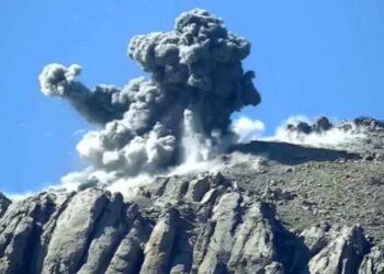 CPT: Tirkiyeyê di mehekê de 18 caran êriş kir