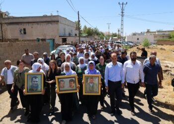 Seba Metîn Arslanî şîn ame ronayene