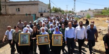 Seba Metîn Arslanî şîn ame ronayene