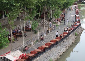 Pirdo Desberî de îşxalkerî