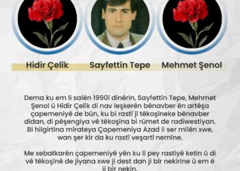 DFG: Seba ke heqîqet tarîtî de nêmano, ma do şopdarê doza înan bibî