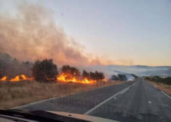 Komê ŞŞP’î mudaxeleyê şewato ke hîrê qezayî girewtê xo ver, kenê