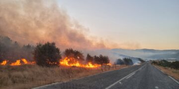 Komê ŞŞP’î mudaxeleyê şewato ke hîrê qezayî girewtê xo ver, kenê