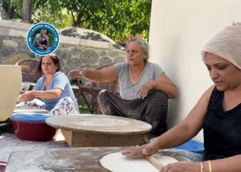 Cinîyê dewa Cafranî seba zimistanî pîya tutmac akenê