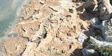 Qeraxê Gola Wanî bîyo gemarin