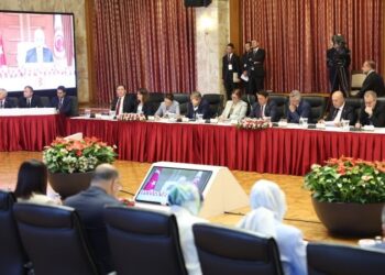 Endamanê Komîsyonî yê Partîya DEMî ra beyanat