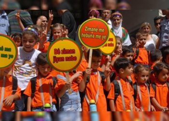 Ji sedî 43 kes baş bi zimanê zikmakî diaxivin