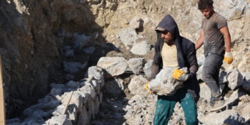 Nanê xo kerreyan ra vejenê