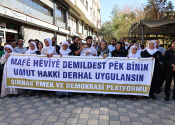 ‘Demildest biryarên DMMEyê pêk bînin’