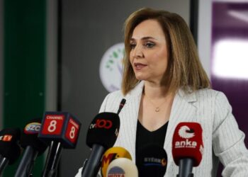 DEM Partî: Çîyê muhîmî est ê ke Abdullah Ocalan do vajo