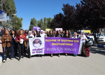 Ji Zanîngehê bang kirin: Di doza Rojîn Kabaîşê de lêpirsîneke bi bandor bikin